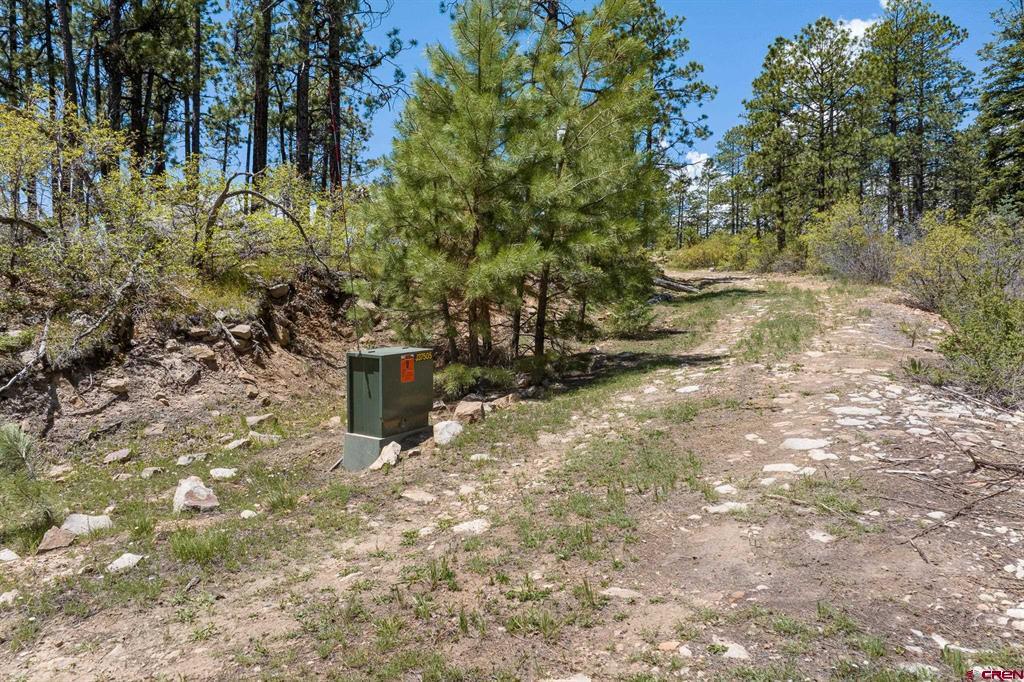 2511 Taylor Ranch Road Property Photo 9