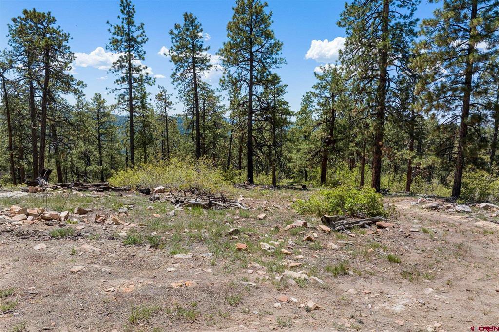 2511 Taylor Ranch Road Property Photo 10