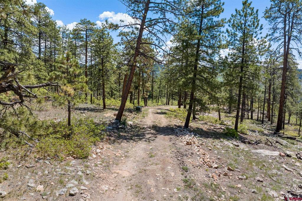 2511 Taylor Ranch Road Property Photo 11