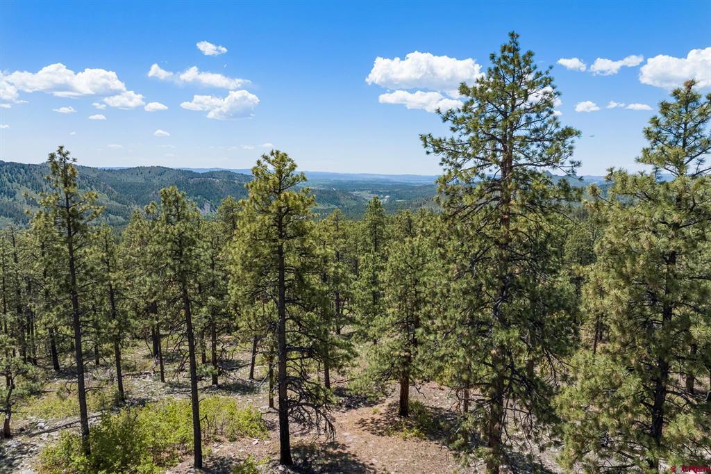 2511 Taylor Ranch Road Property Photo 12