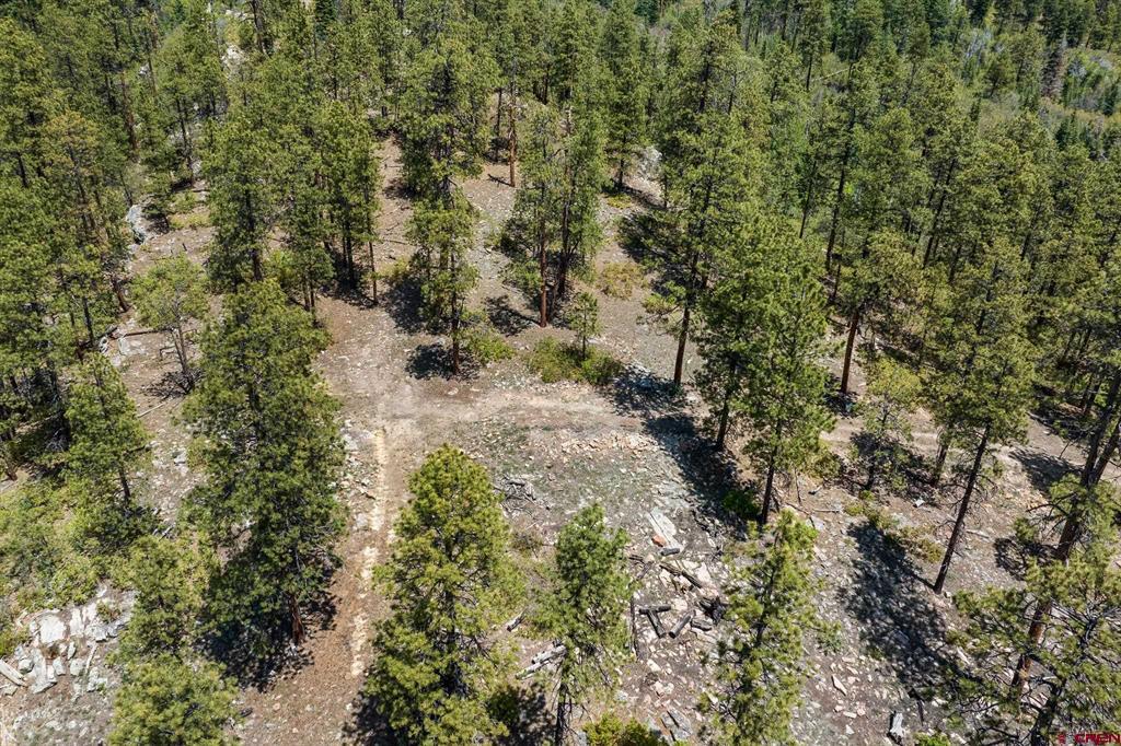 2511 Taylor Ranch Road Property Photo 13