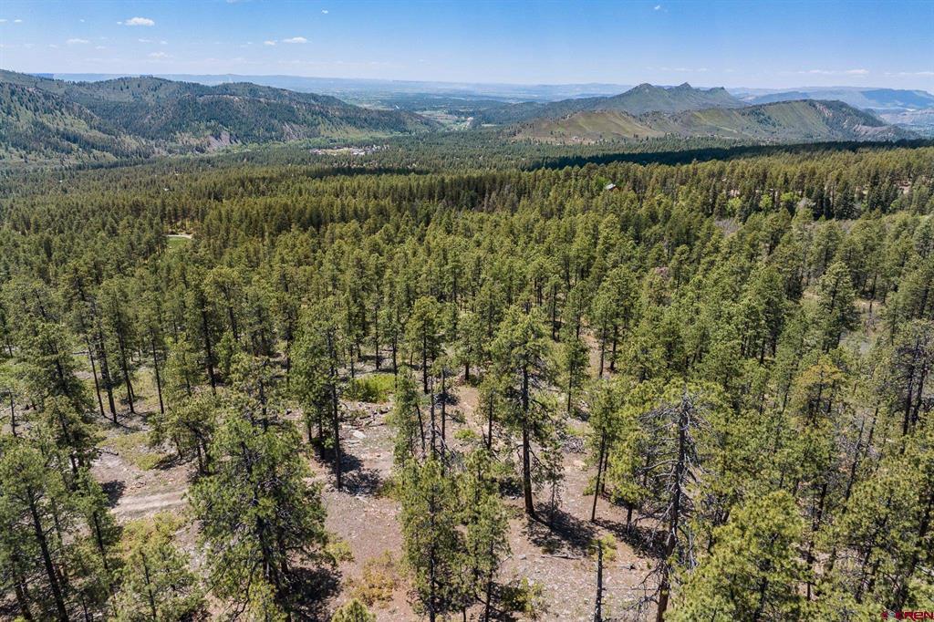 2511 Taylor Ranch Road Property Photo 15