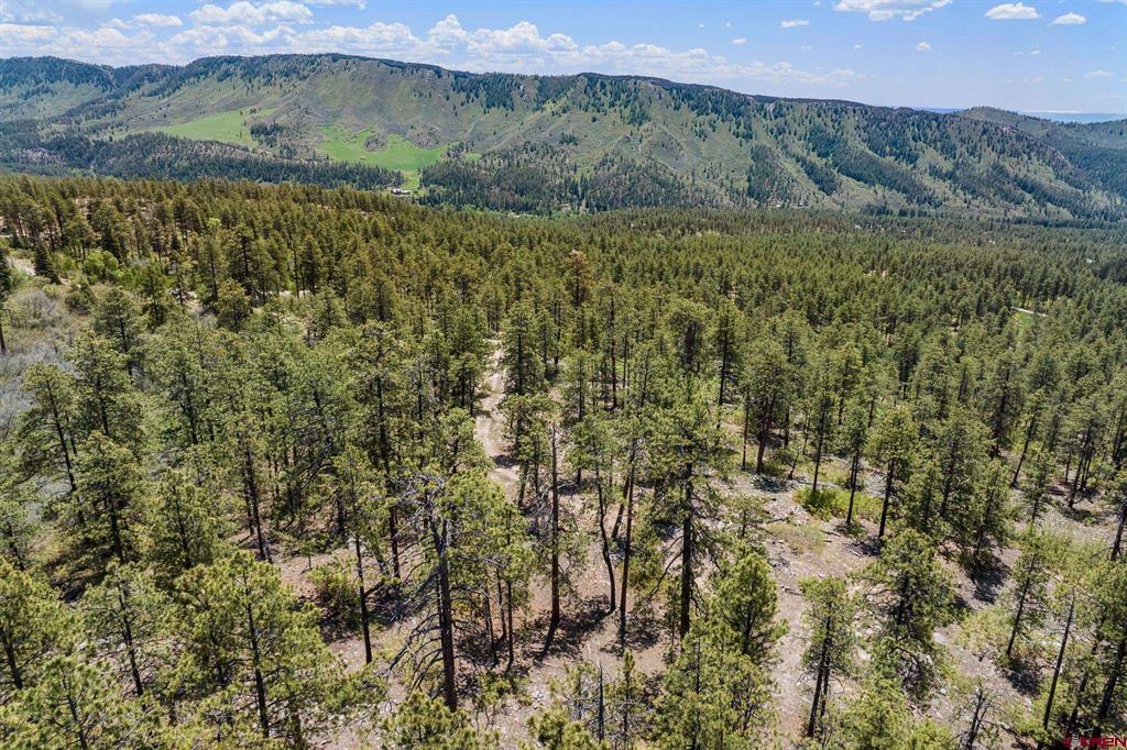 2511 Taylor Ranch Road Property Photo 16