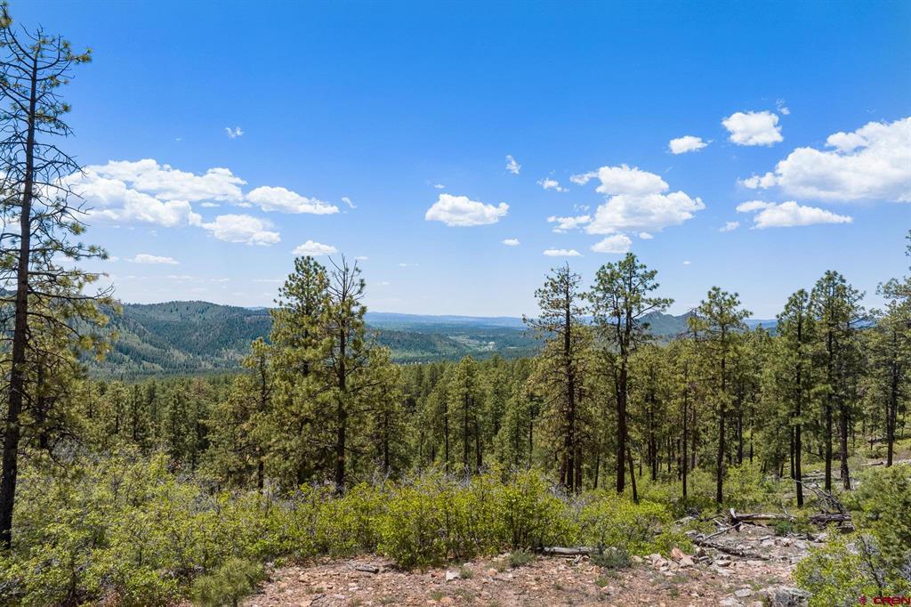 2511 Taylor Ranch Road Property Photo 20