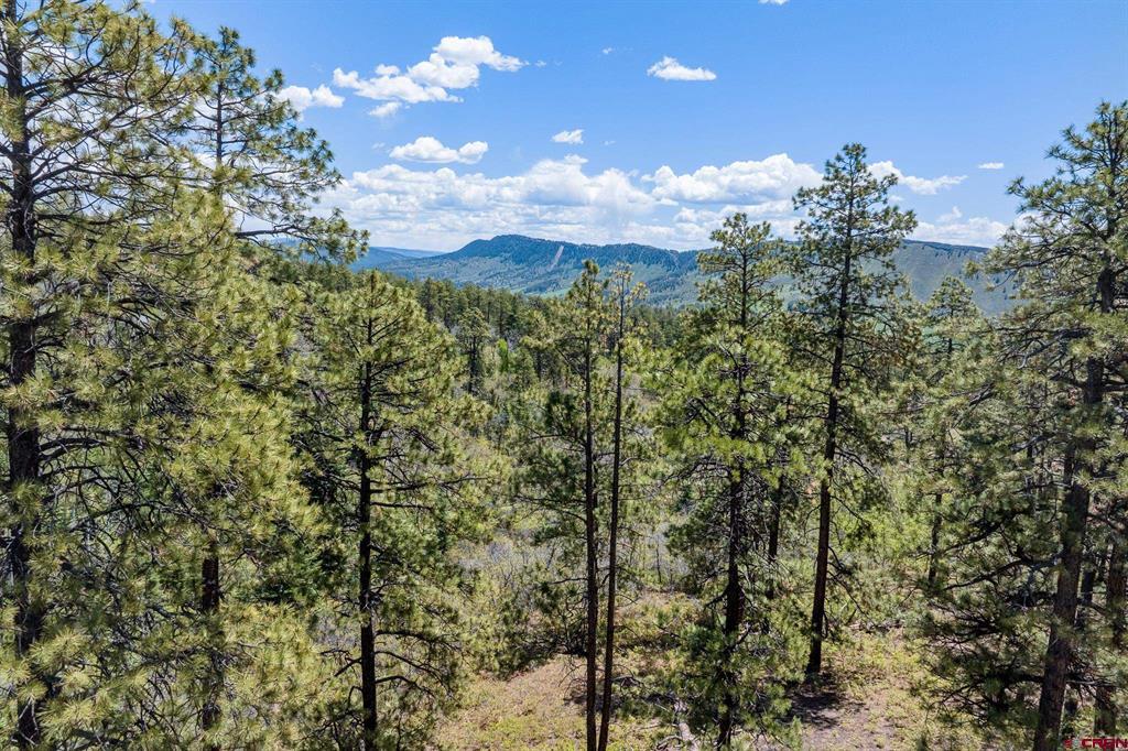2511 Taylor Ranch Road Property Photo 21