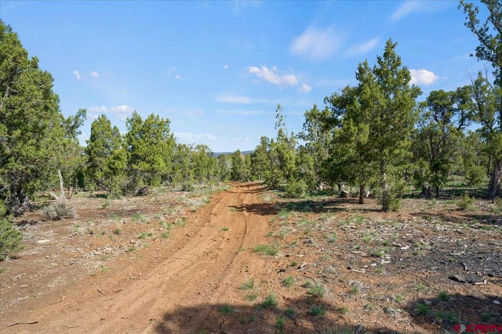 73 Moondance Trail Property Photo 23