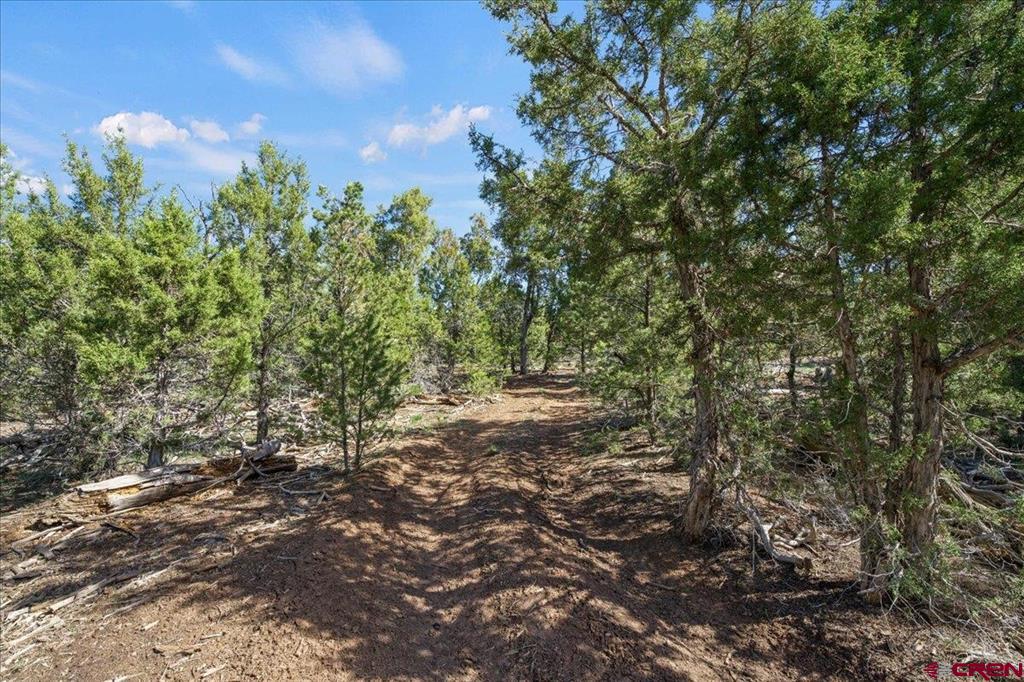 73 Moondance Trail Property Photo 24