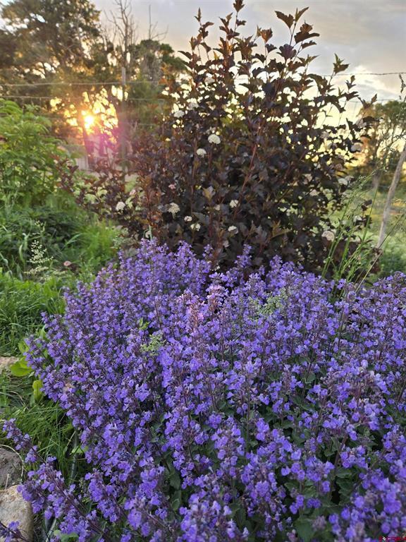 73 Moondance Trail Property Photo 31