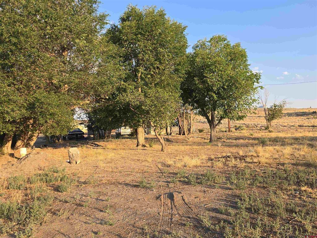 1035 8th Street Property Photo 1