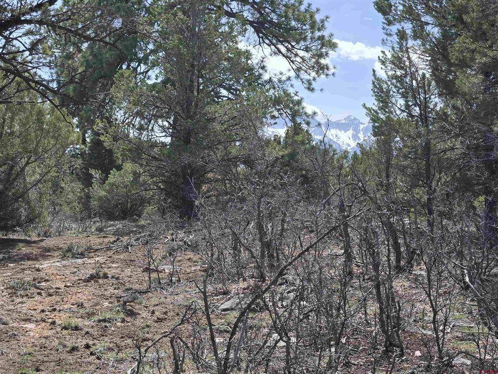 Tbd Cottontail Lane Property Photo 2