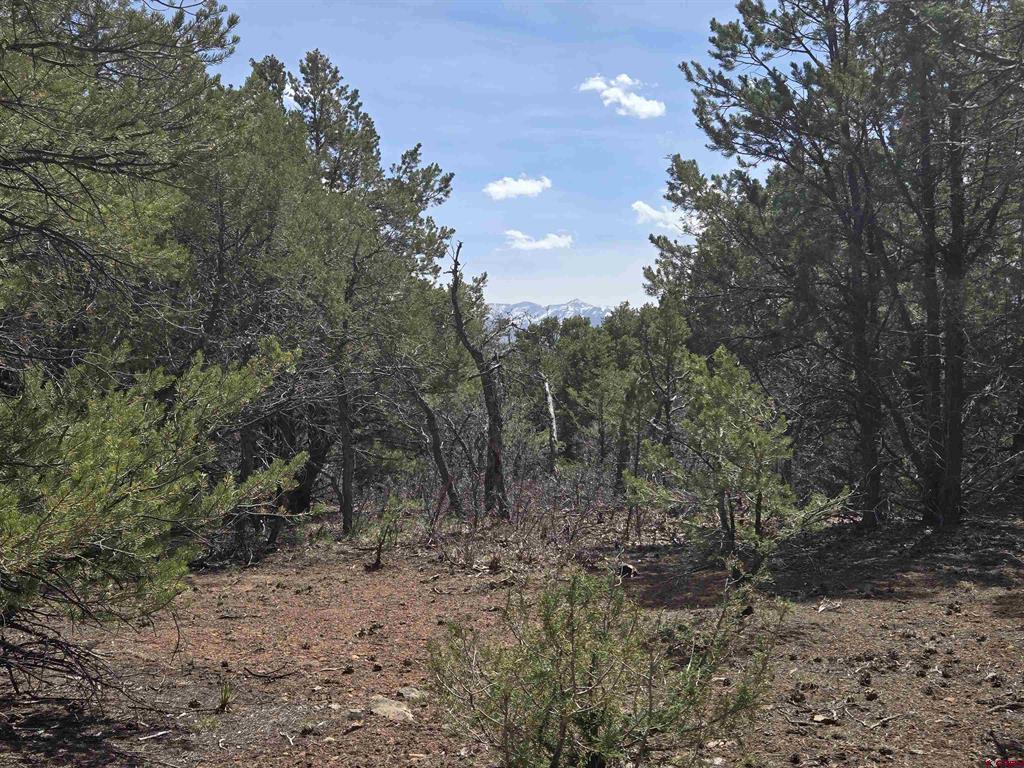 Tbd Cottontail Lane Property Photo 3