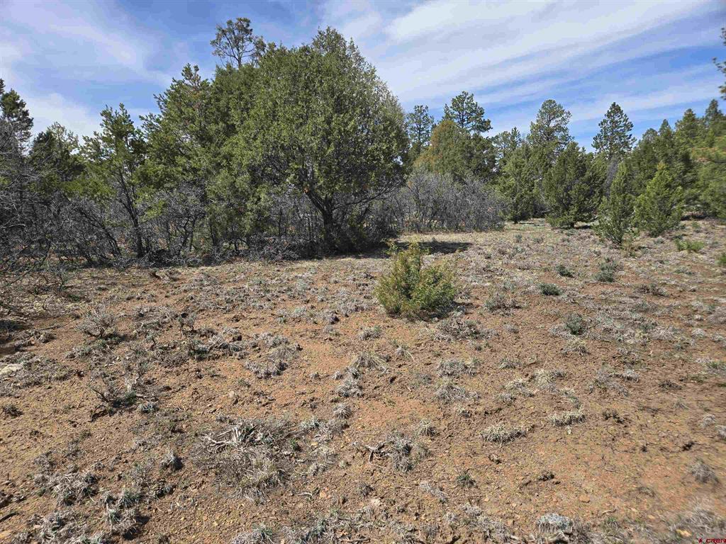 Tbd Cottontail Lane Property Photo 4