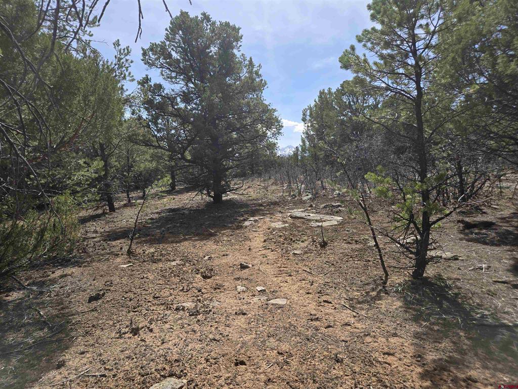 Tbd Cottontail Lane Property Photo 5