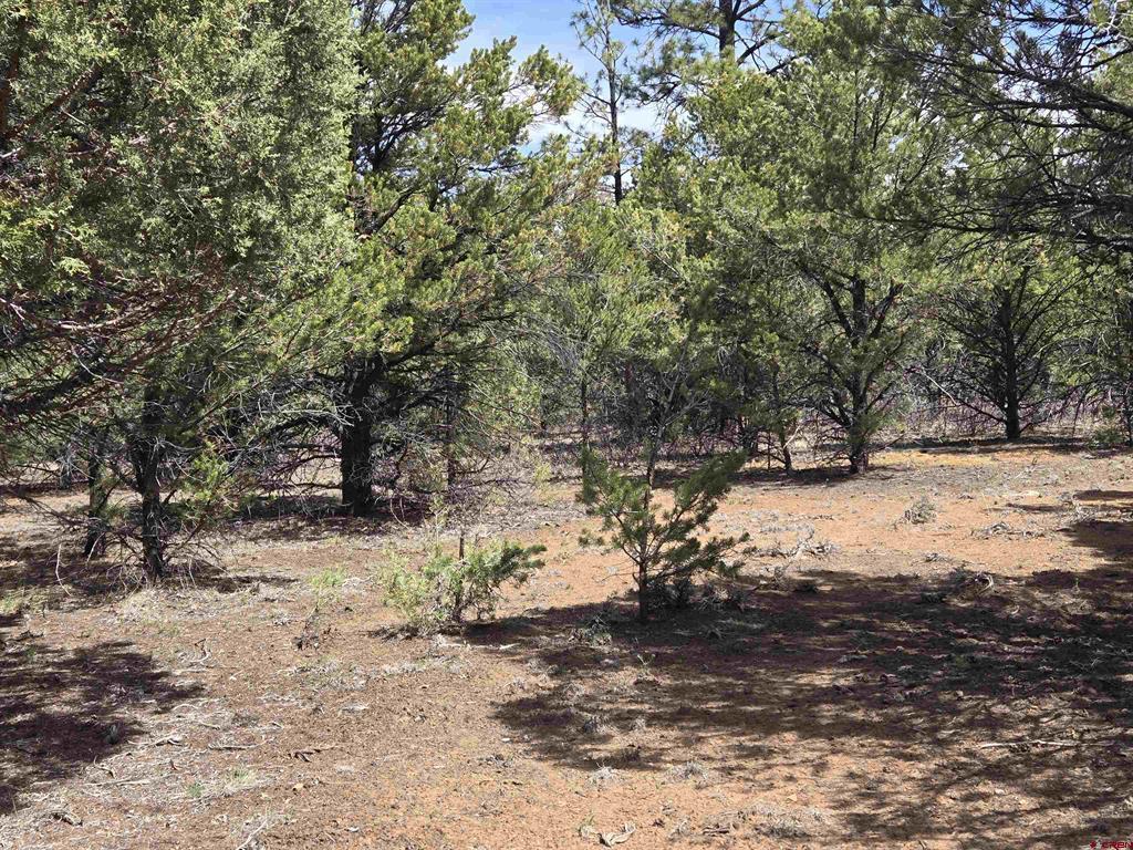 Tbd Cottontail Lane Property Photo 6