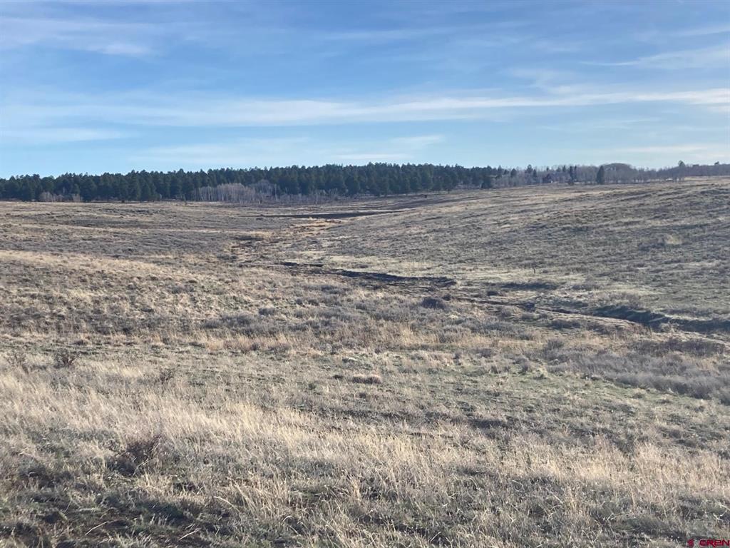 Lot 12 62x Road Property Photo 1