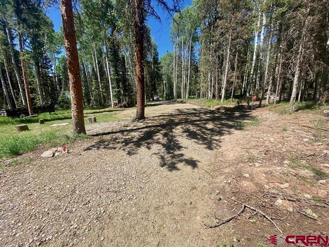 1772 Spruce Road Property Photo 5