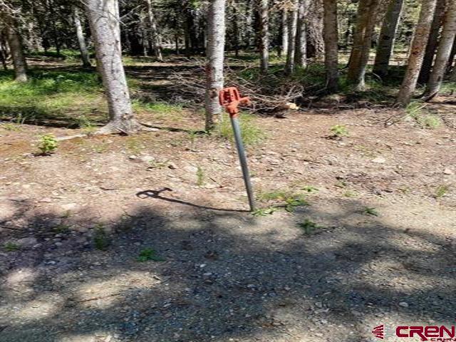 1772 Spruce Road Property Photo 9