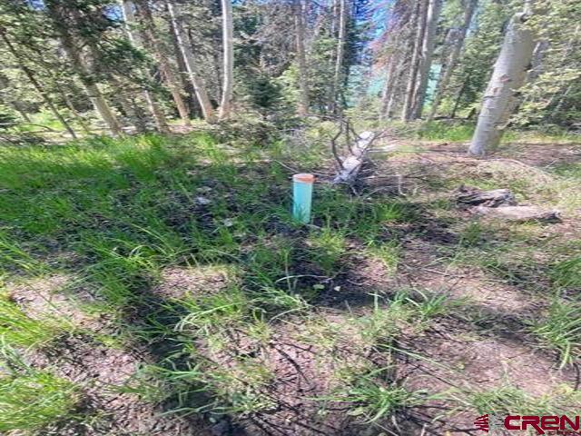 1772 Spruce Road Property Photo 11