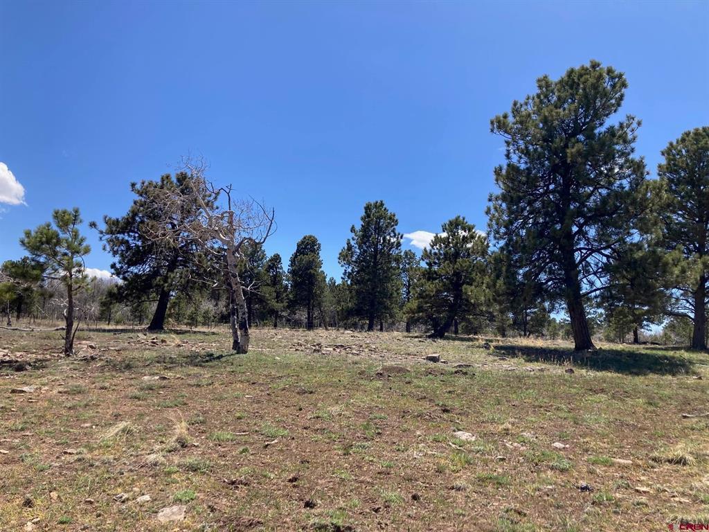 Lot 14 62x Road Property Photo 1