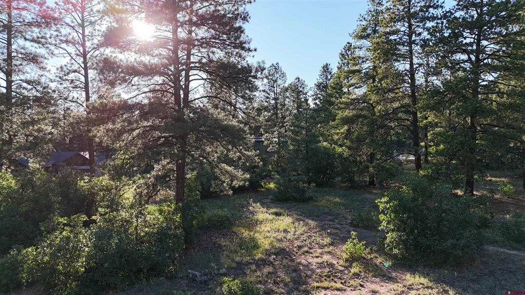 91 Engine Creek Court Property Photo 2