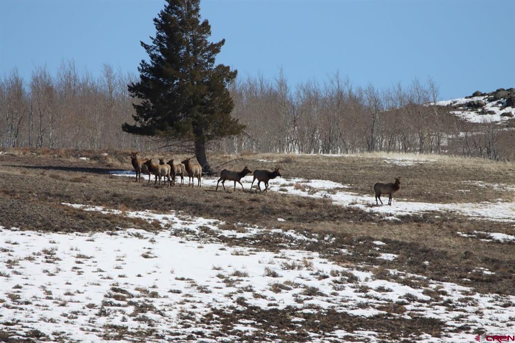 Tbd State Highway 149 Property Photo 15