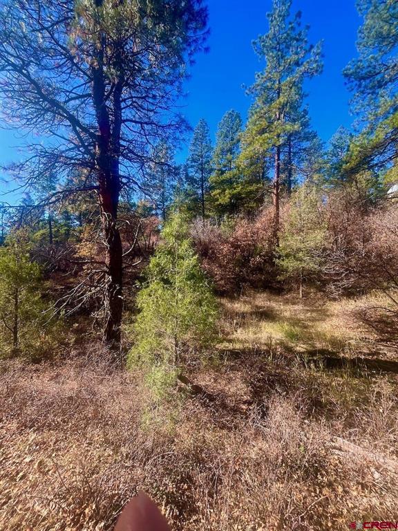 152 Lane Drive Property Photo 14