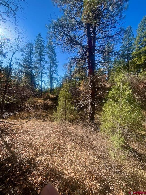 152 Lane Drive Property Photo 15