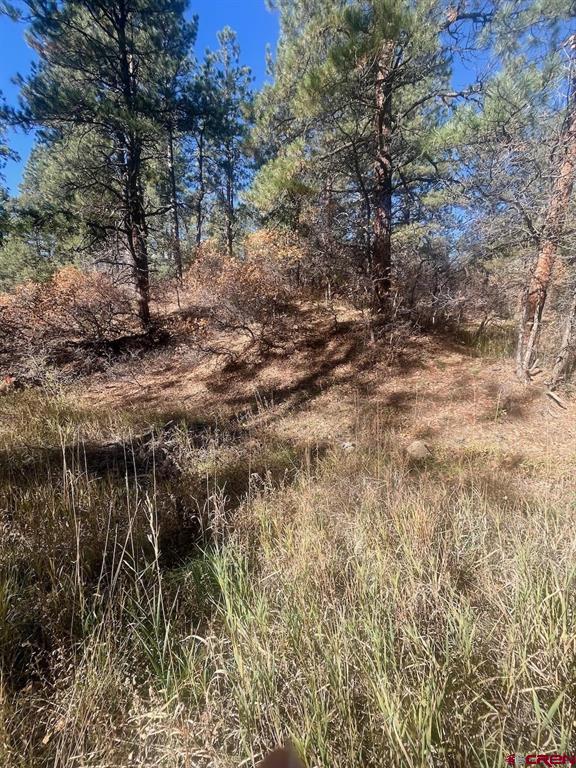 152 Lane Drive Property Photo 18