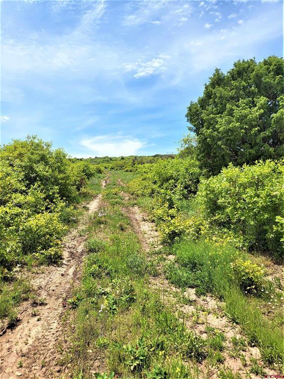 10 North Reserve Trail Property Photo 15