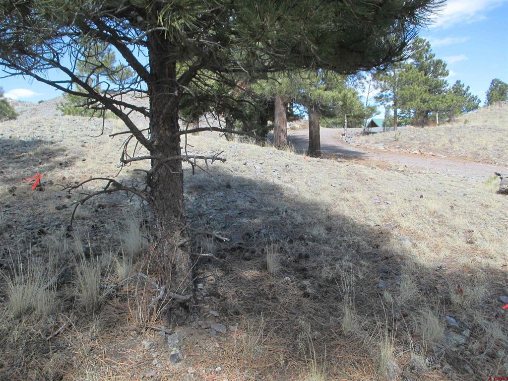 410 Gold Avenue Property Photo 14