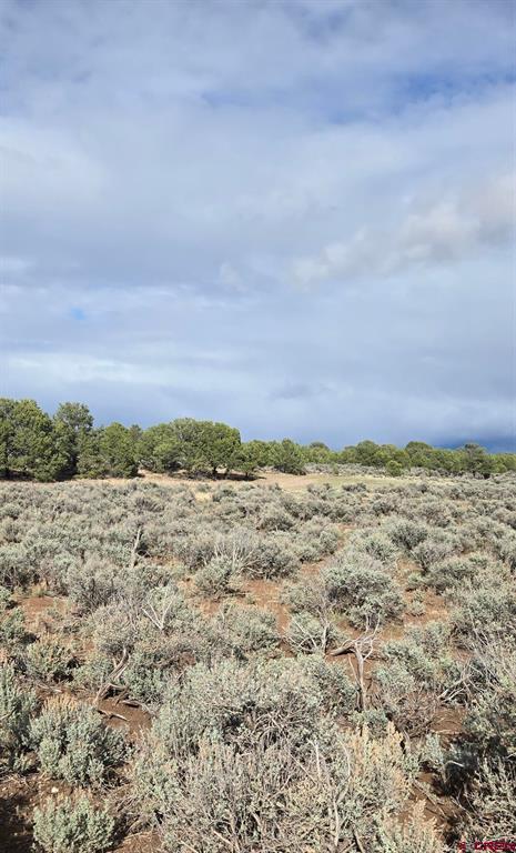 70356170 Parcel Property Photo 1