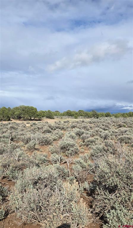 70356170 Parcel Property Photo 3