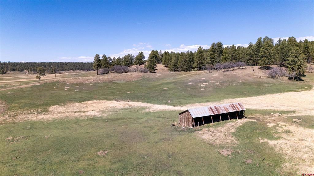 2054 Snowball Property Photo 6