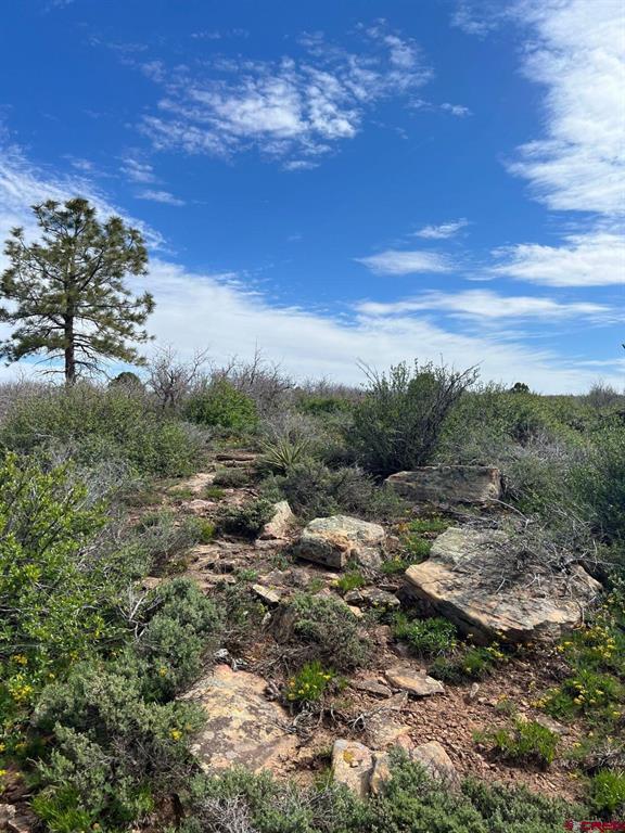 Lot 30 County Road C-3 Property Photo 1