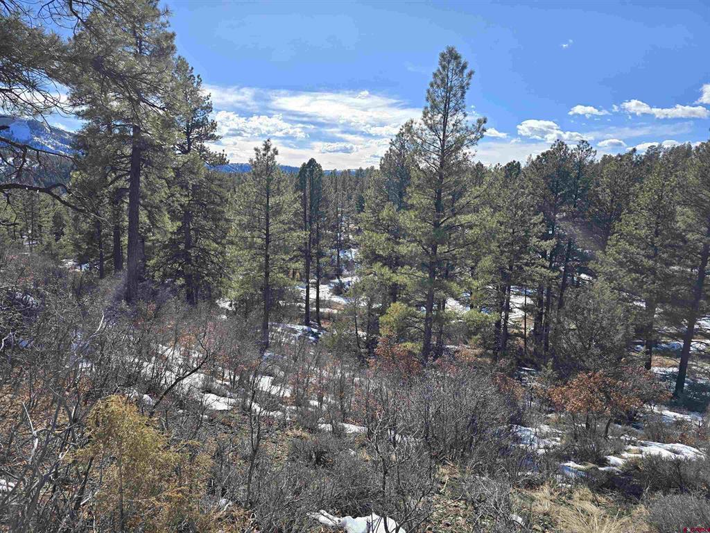 492 Circle Drive Property Photo 11