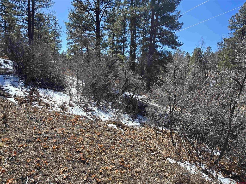 492 Circle Drive Property Photo 27