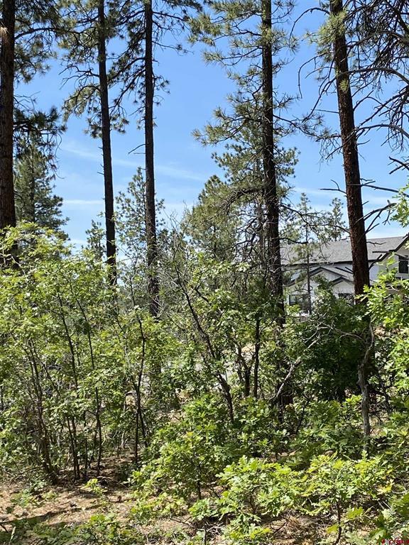 163 Boulder View Drive Property Photo 2