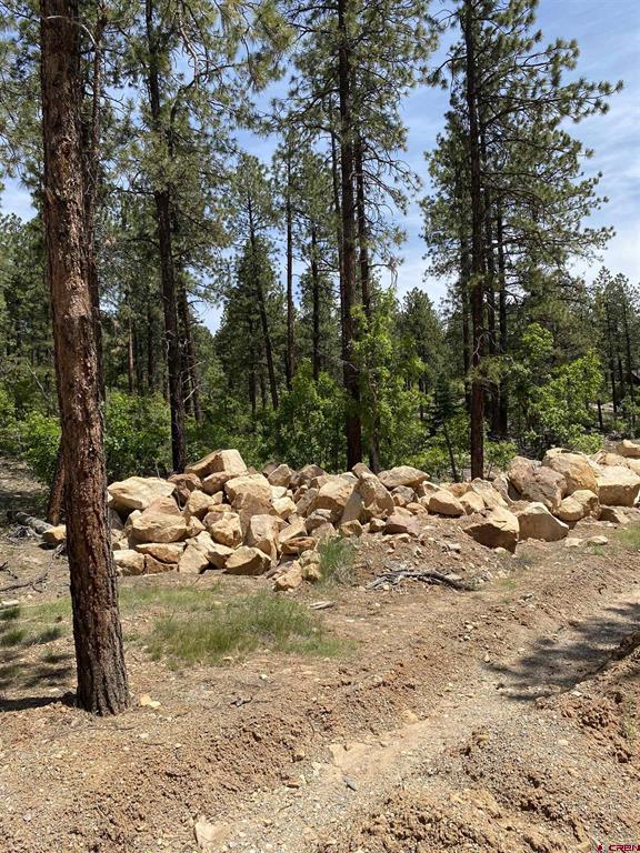 163 Boulder View Drive Property Photo 4