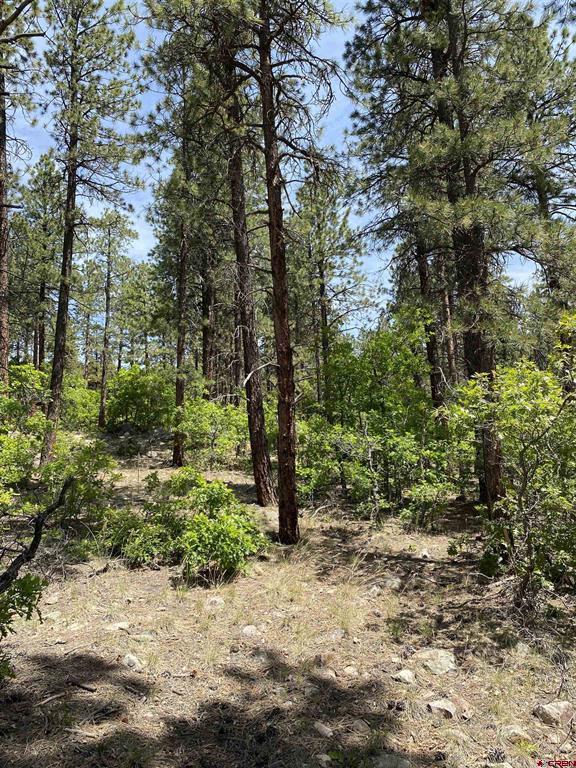 163 Boulder View Drive Property Photo 5