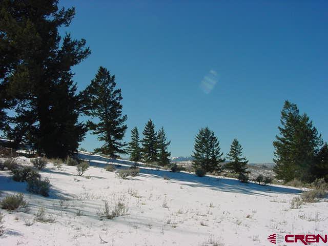 721 Crest Drive Property Photo 6