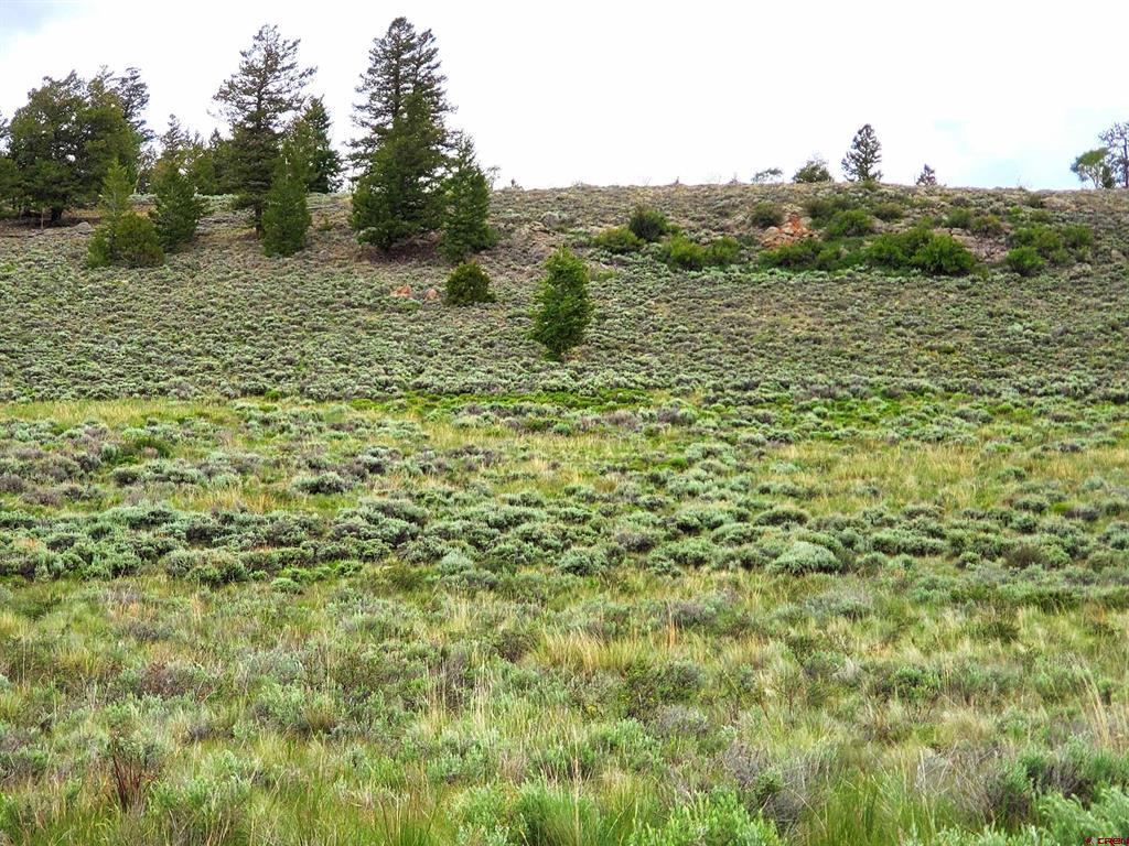 273 Schofield Trail Property Photo 1