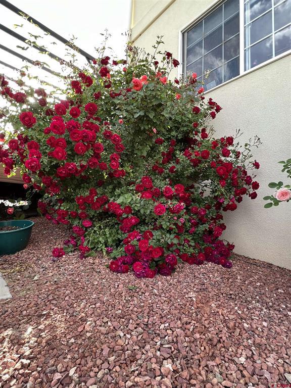 938 Ryan Court Property Photo 37