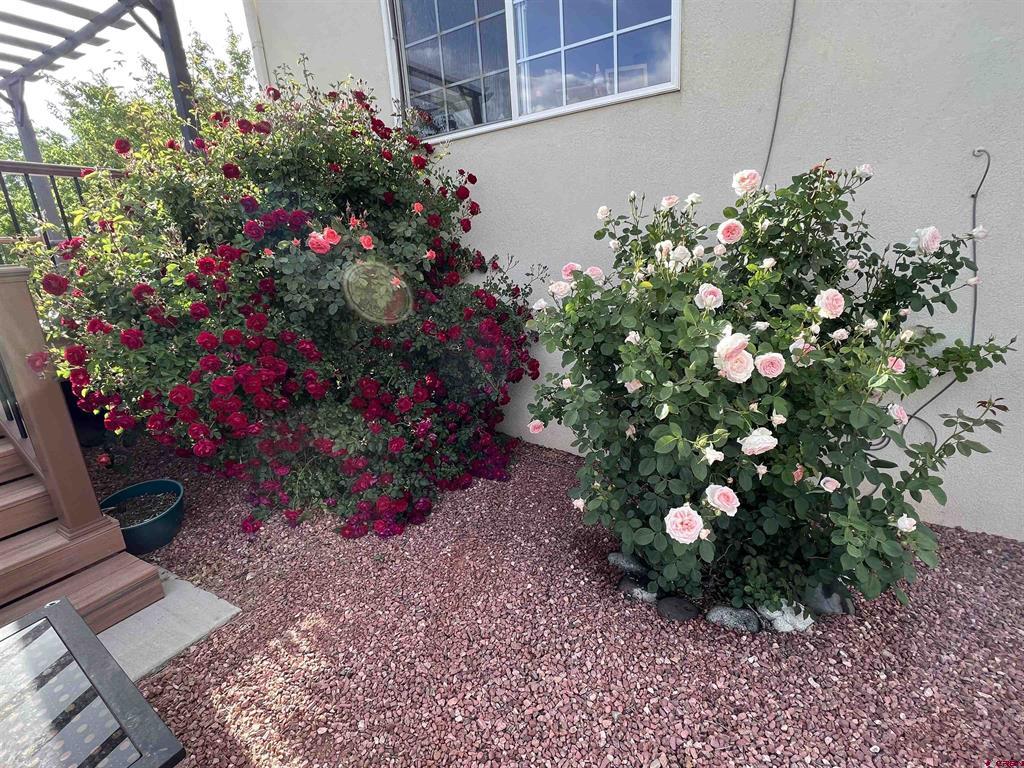 938 Ryan Court Property Photo 39