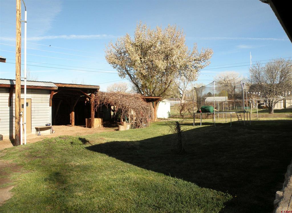 810 Grape Street Property Photo 7