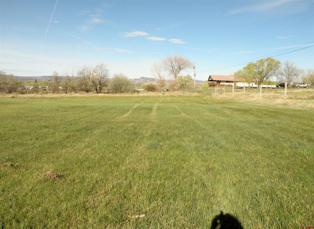 810 Grape Street Property Photo 11