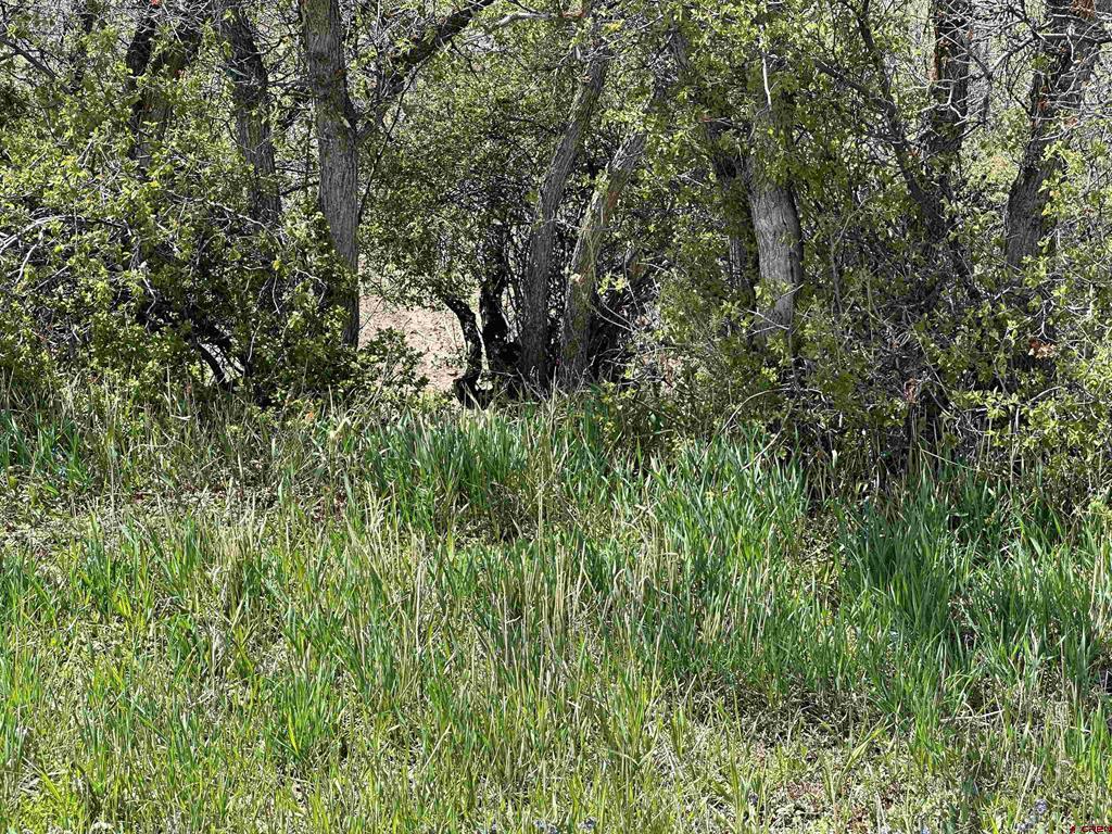 8896 8250 Road Property Photo 4