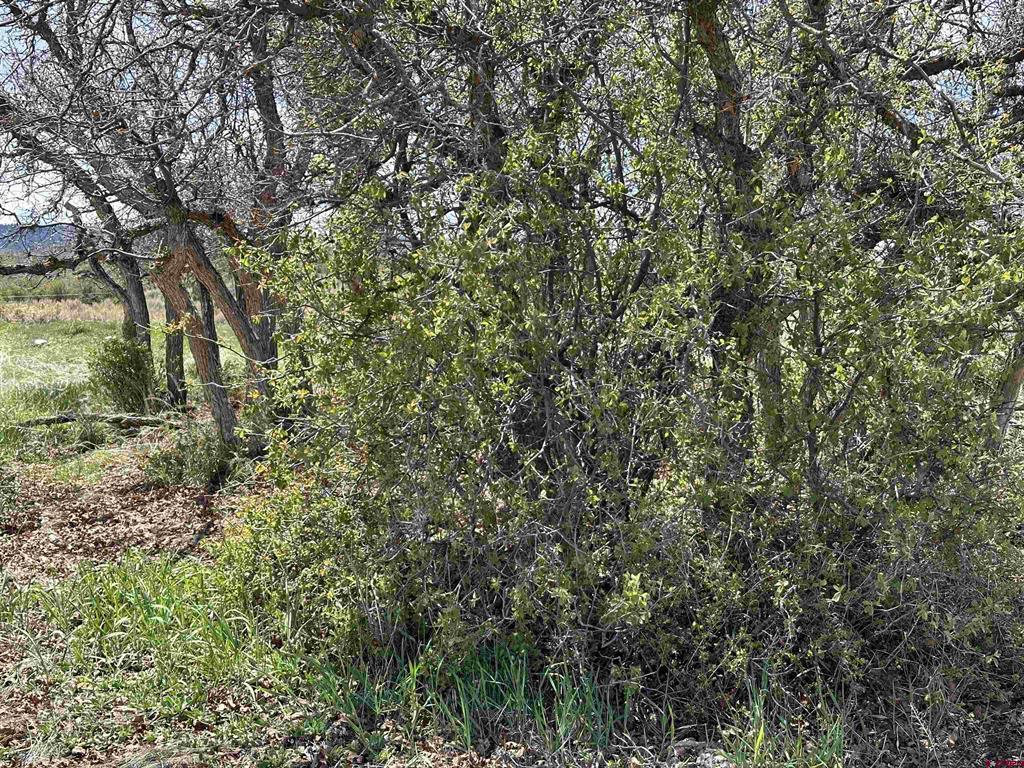8896 8250 Road Property Photo 11