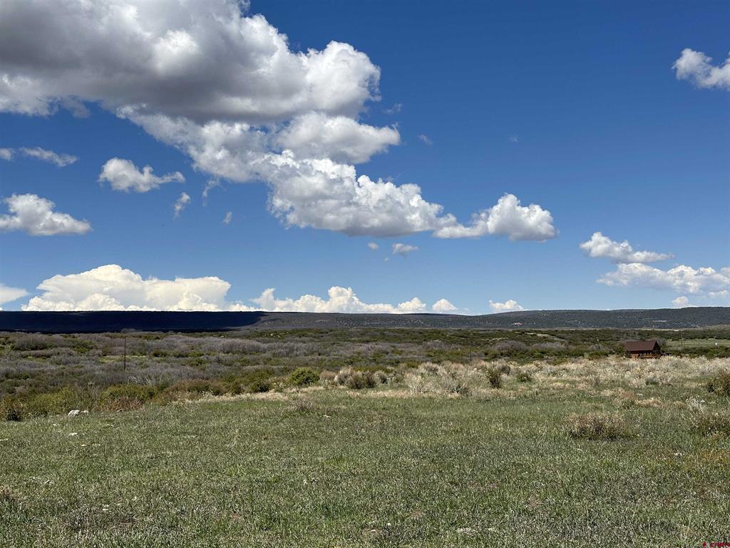 8896 8250 Road Property Photo 13