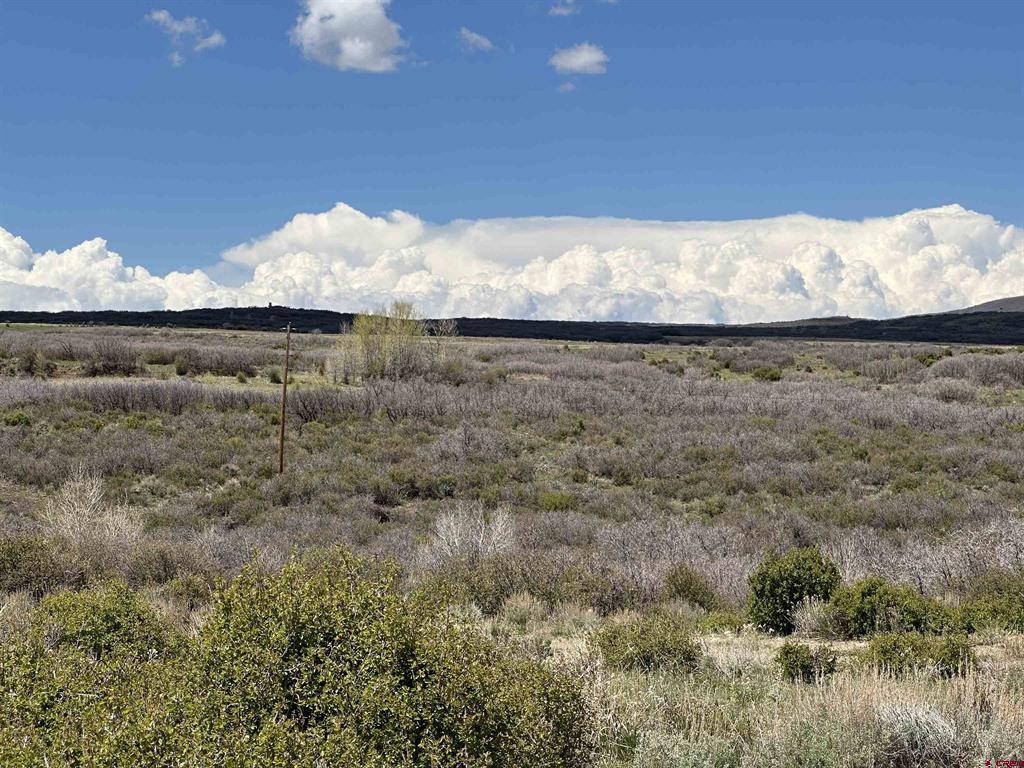 8896 8250 Road Property Photo 14