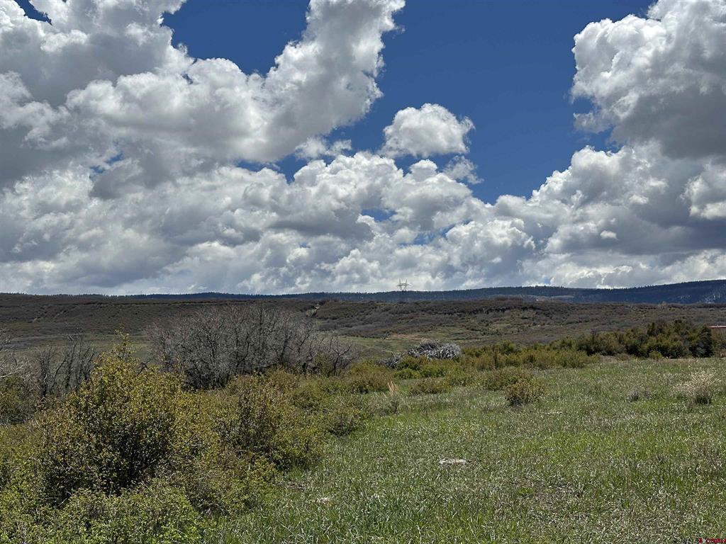 8896 8250 Road Property Photo 17